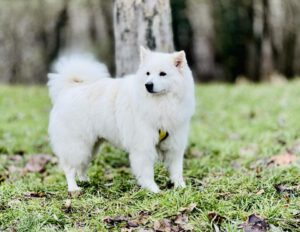 Bibi von Villa Bella Berlin ♀