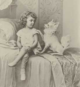 Fritz und Spitz