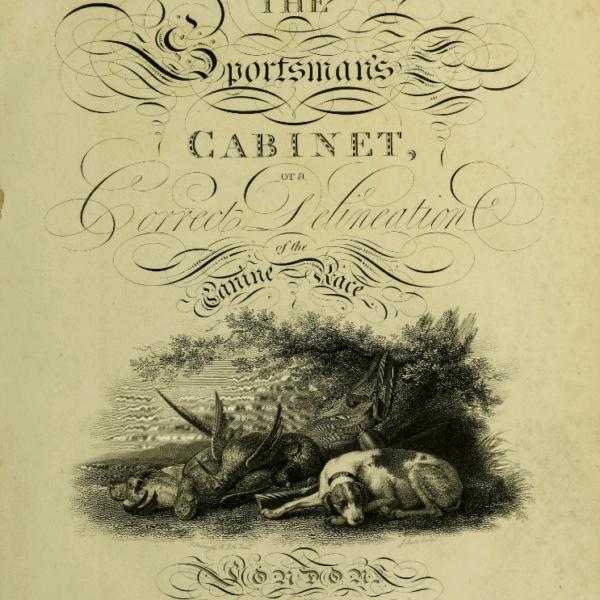 1804: Der Spitz nach Taplin Wiliam