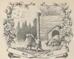 Spitz und Mond Gedicht