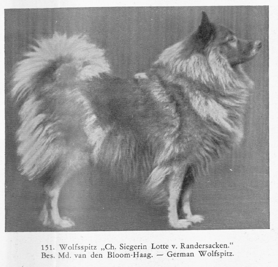 1935: Der Spitz nach Aga Gräfin vom Hagen