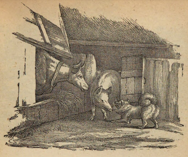 Schwein, Hund und Kuh (1837)