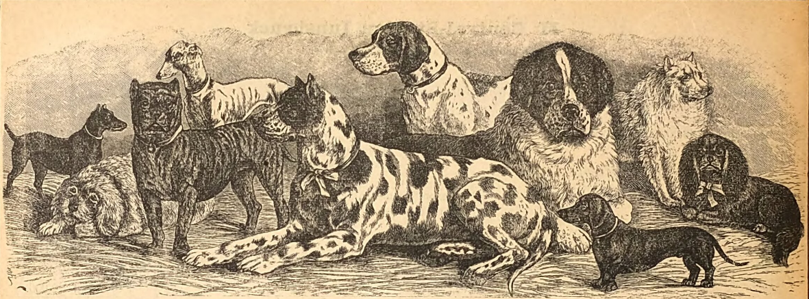 Deutsche Zuchtanstalten zur Zeit der Industrialisierung