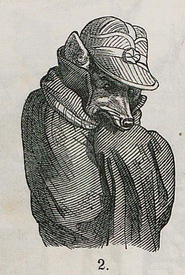 Beiträge zur Lösung der Seelenwanderungsfrage (1867)