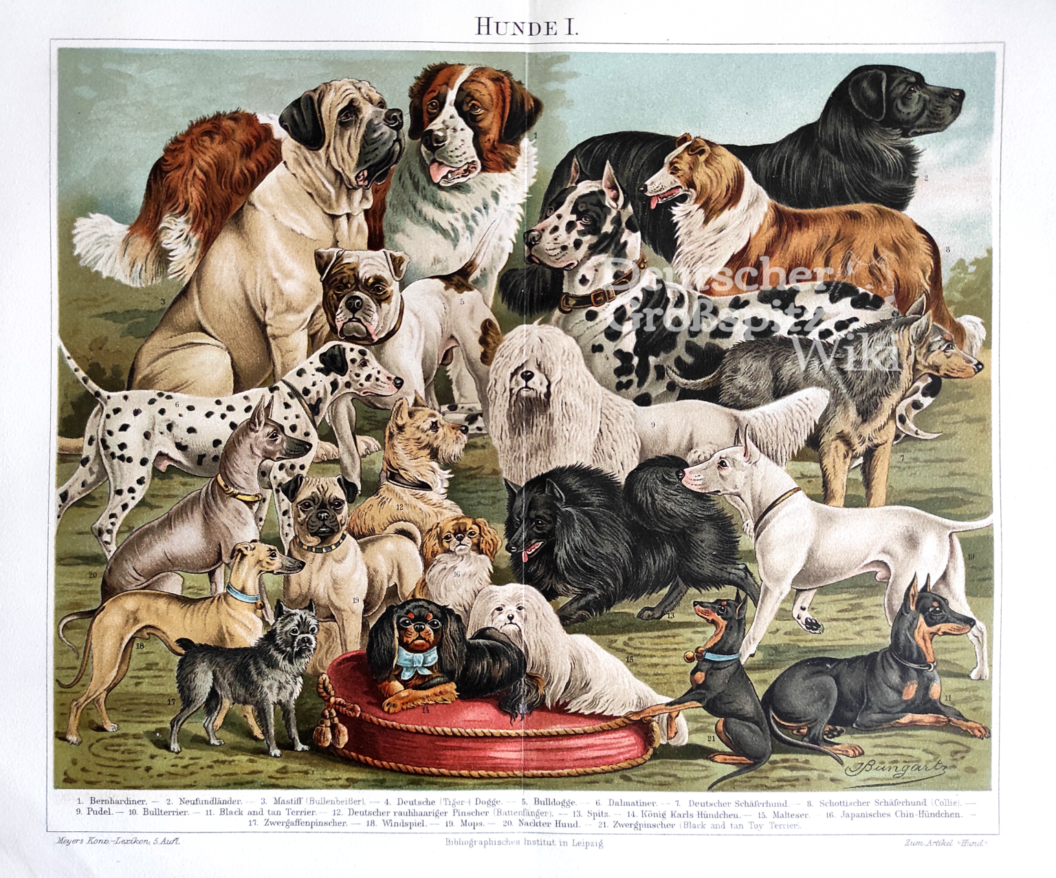 Jean Bungartz Hundetafel I – II (1893)