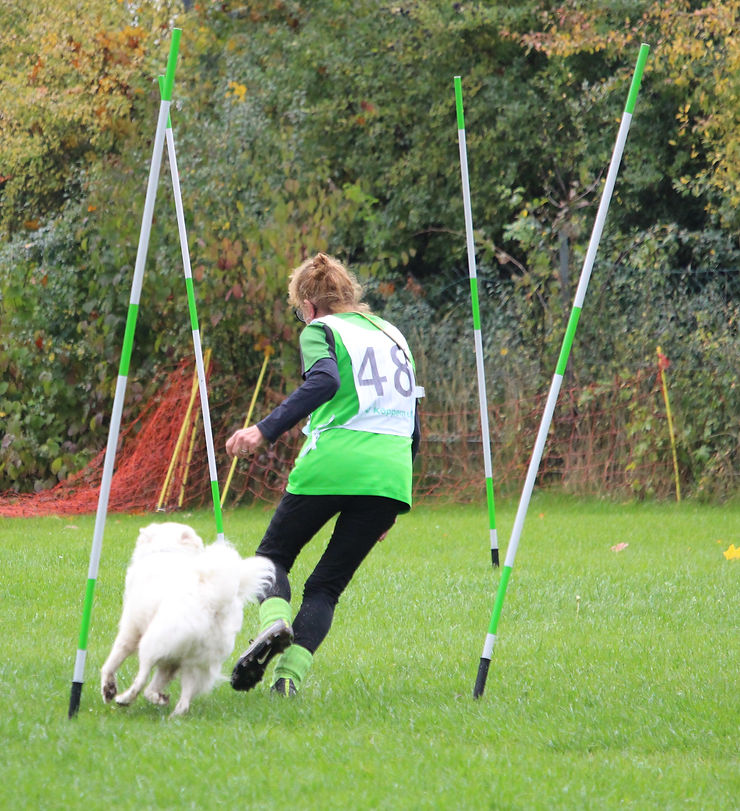 Großspitz in den Disziplinen: Gehorsam, Hürdenlauf, Slalom und Hindernislauf.
