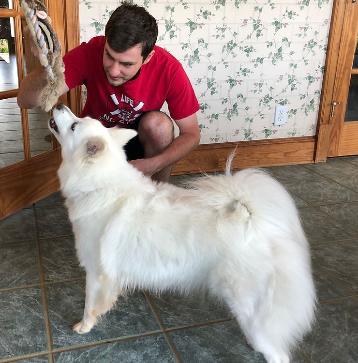 weiße Großspitz Hündin LINN van Millus ist ein verspielter Hund