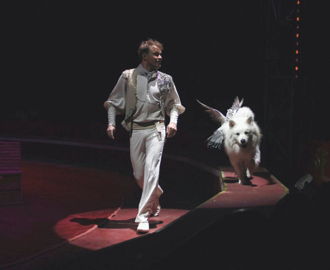 Großspitz Eros und Tauben im Zirkus