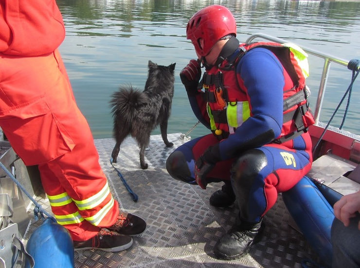 Aska bei der Rettungshundearbeit