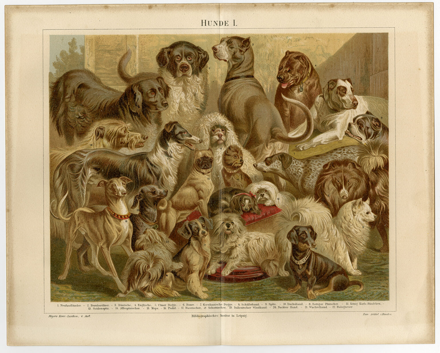 Tafel Luxushunde, Meyers Konversations-Lexikon