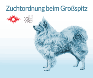Zuchtordnung Großspitz im VfDSp e.V. und VSVR e.V. (deutsche Zuchtvereine für Großspitze)