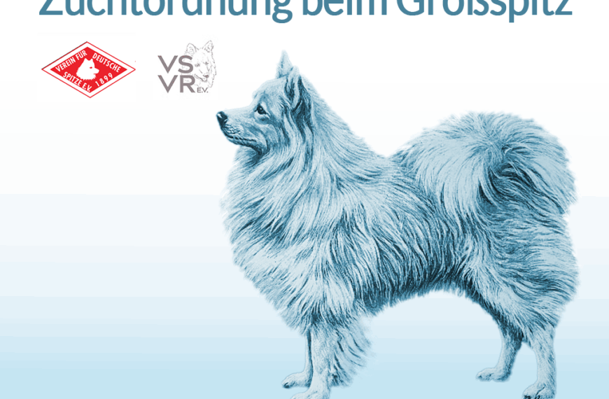 Zuchtordnung Großspitz im VfDSp e.V. und VSVR e.V. (deutsche Zuchtvereine für Großspitze)