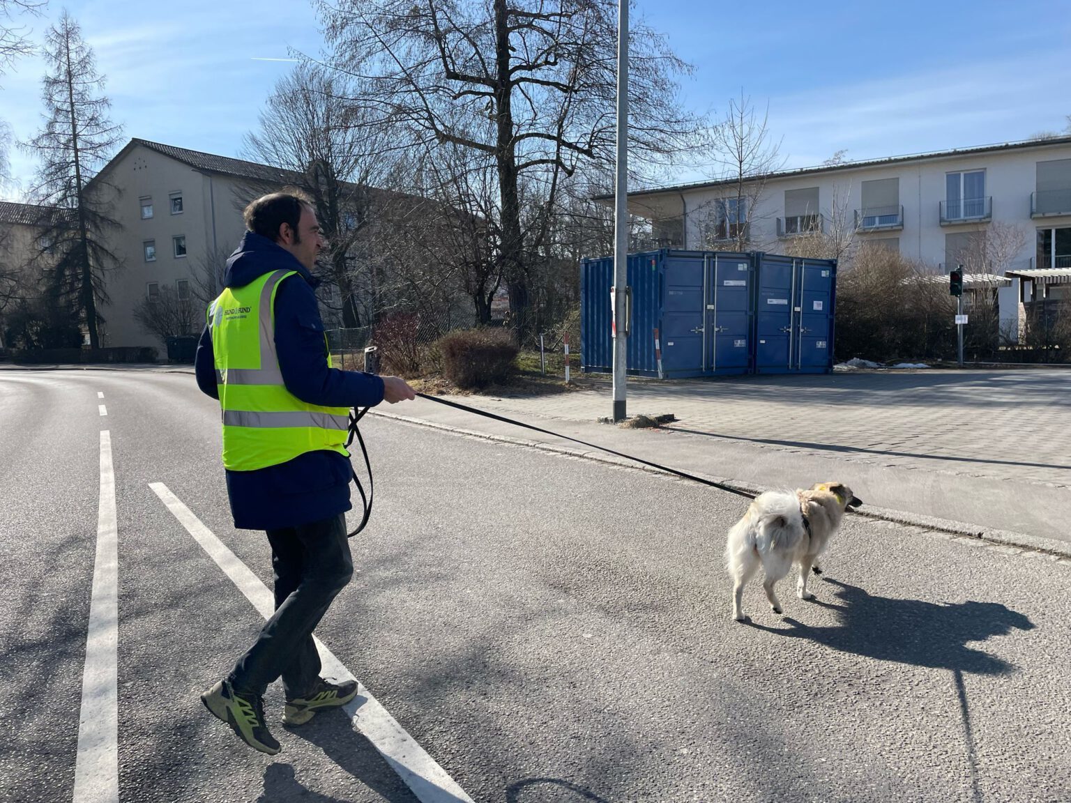 mantrailing mit spitz cilli vom roten turm (1)