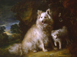 Pomeranian Bitch and Puppy - 1777 Thomas Gainsborough