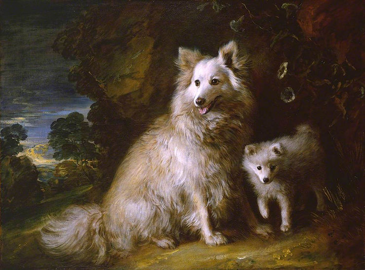Pomeranian Bitch and Puppy - 1777 Thomas Gainsborough