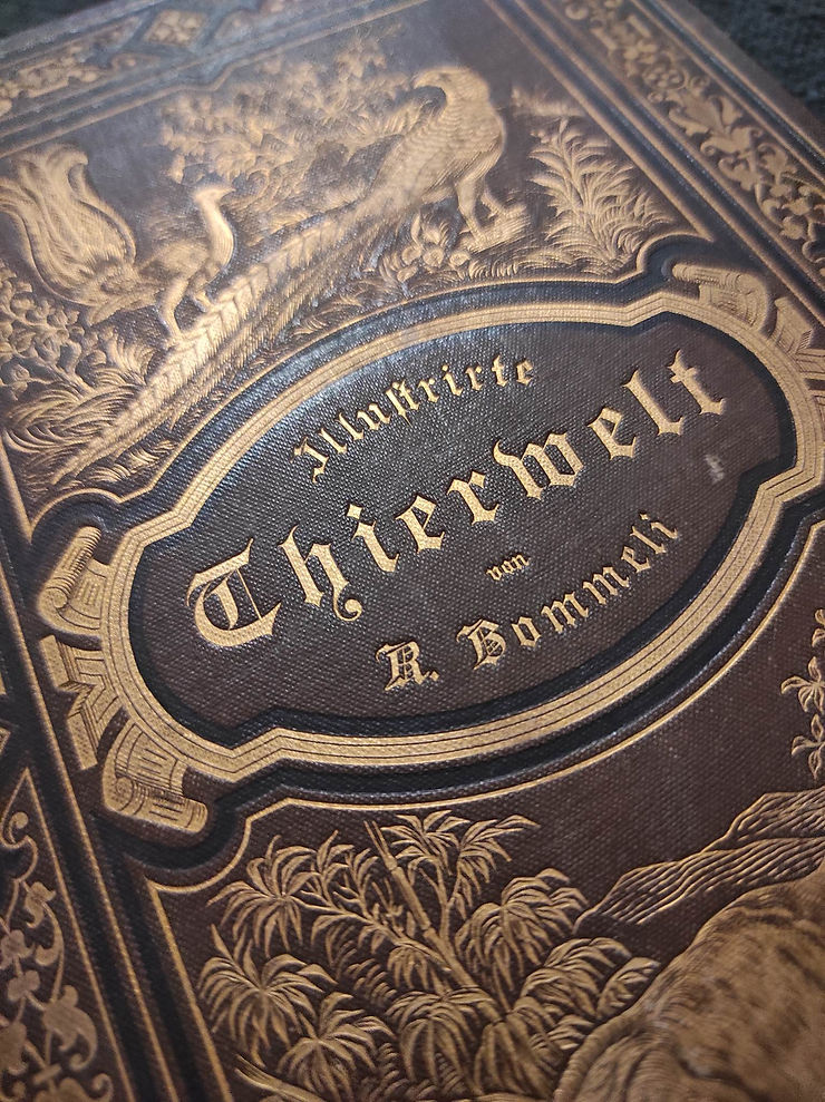 Buchtitel: Illustrirte Thierwelt von R. Bommeli mit Gravur, Golddruck auf Leinen