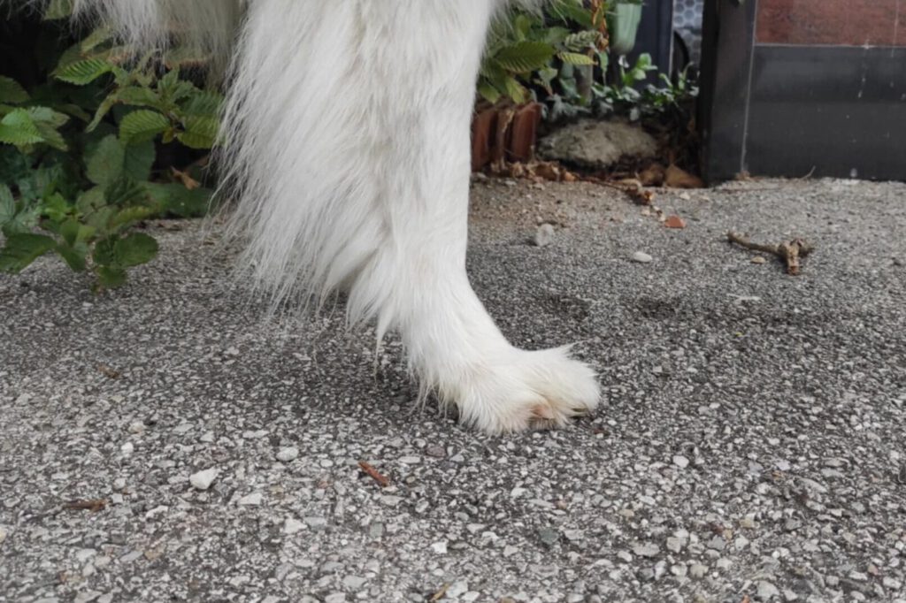 Durchtritt beim Großspitz