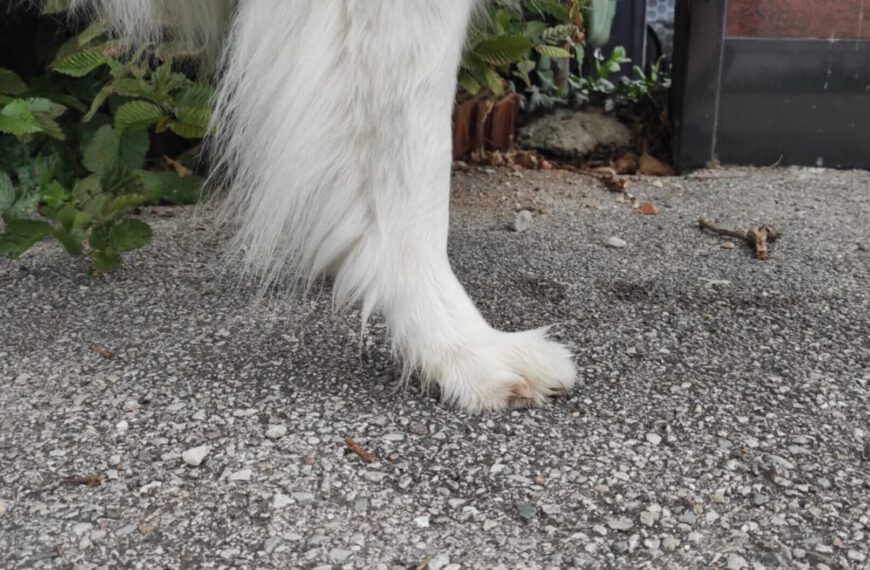 Durchtritt beim Großspitz