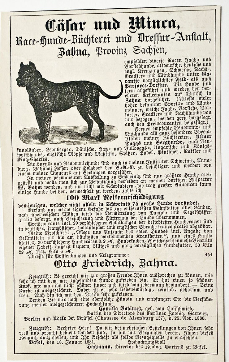 Cäsar und Minca Anzeige