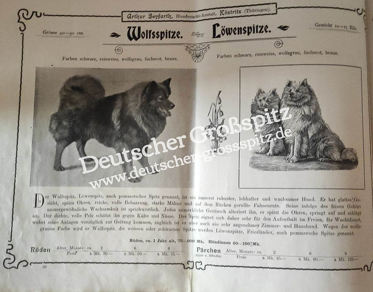 Angebot über Wolfsspitze & Großsspitze (Löwenspitze) aus dem Verkaufsprospekt Arthur Seyfarth
