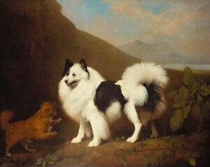 "Fino und Tiny" von George Stubbs (1791)