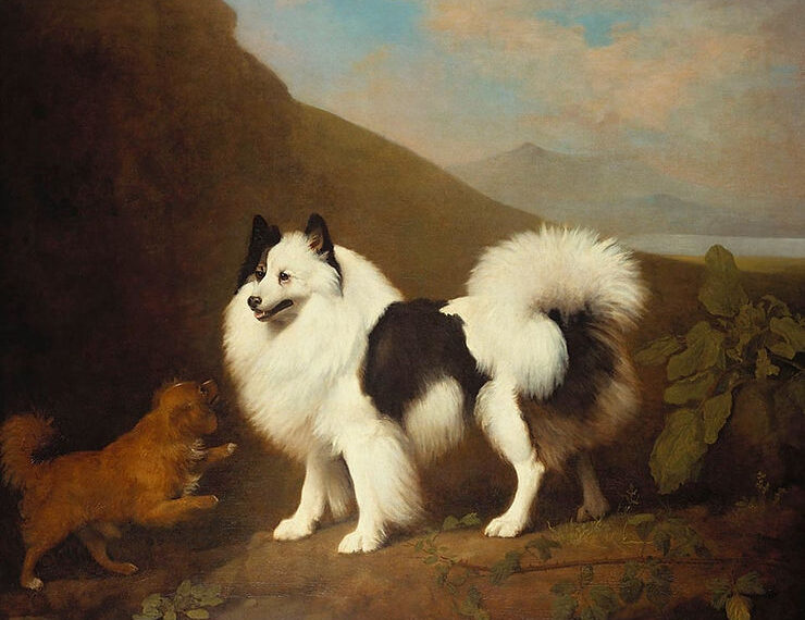 "Fino und Tiny" von George Stubbs (1791)