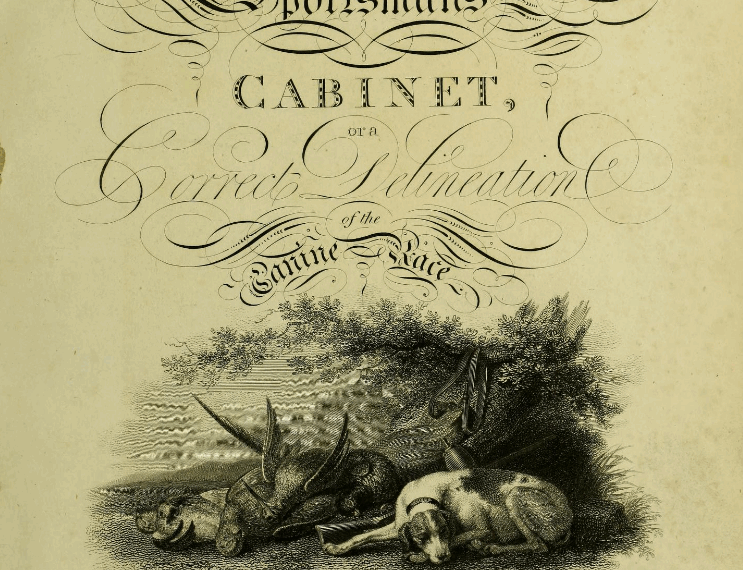 1804: Der Spitz nach Taplin Wiliam