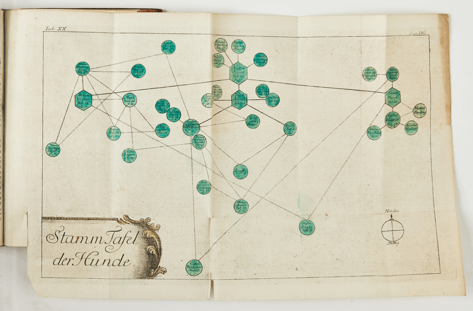 Stammtafel der Hunde nach Buffon