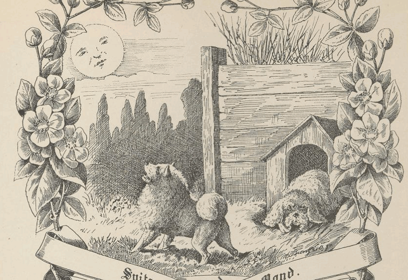 Spitz und Mond Gedicht