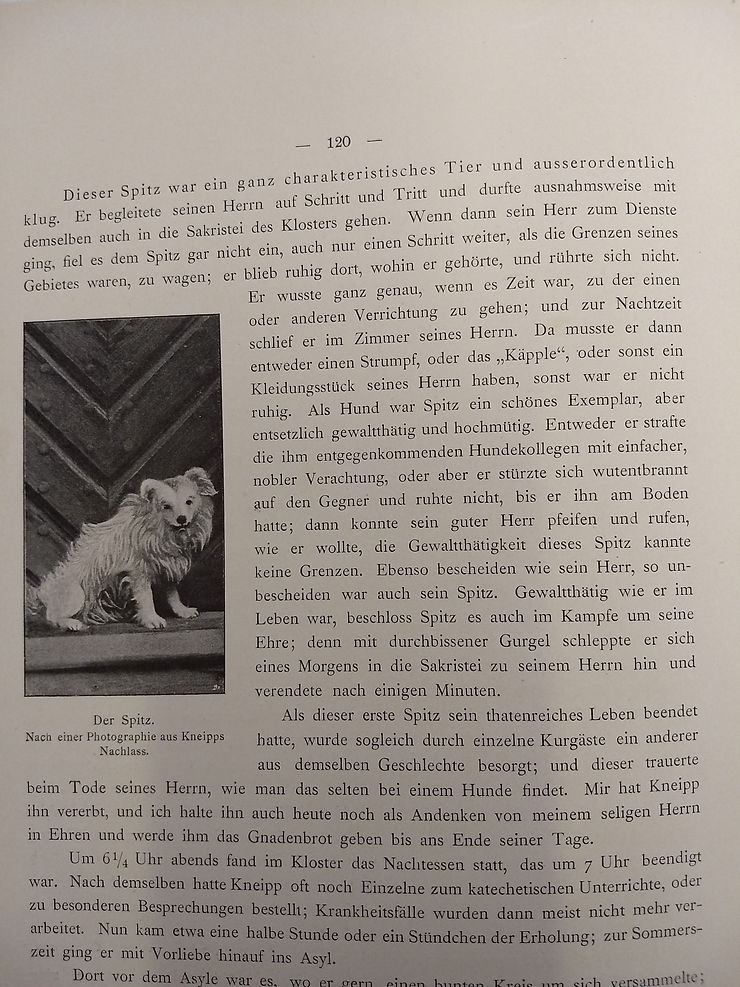 Aus dem Buch: Buch: Sebastian Kneipp. Biografie von Dr. Alfred Baumgarten, Berlin, 1898, Abbildung Spitz