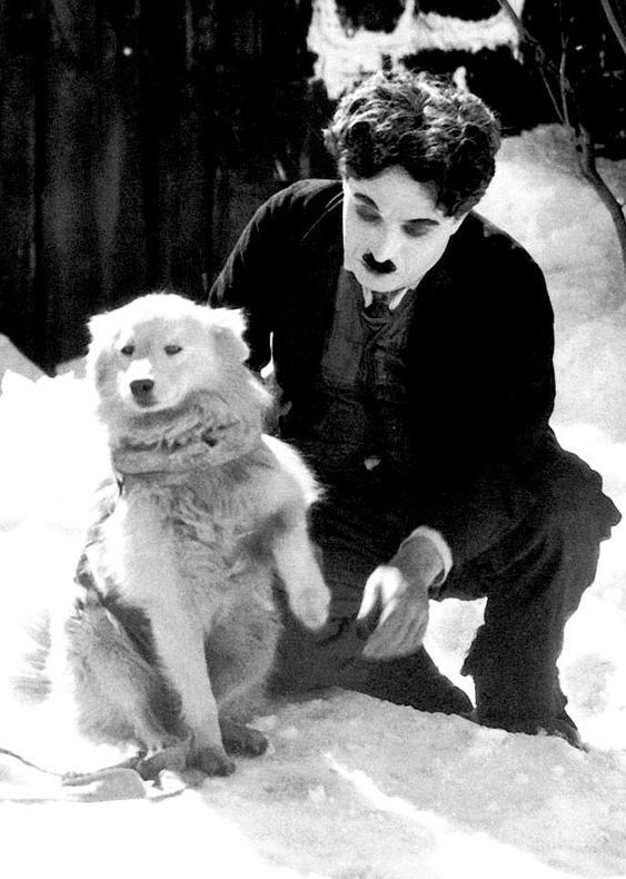 Charlie Chaplin und spitz