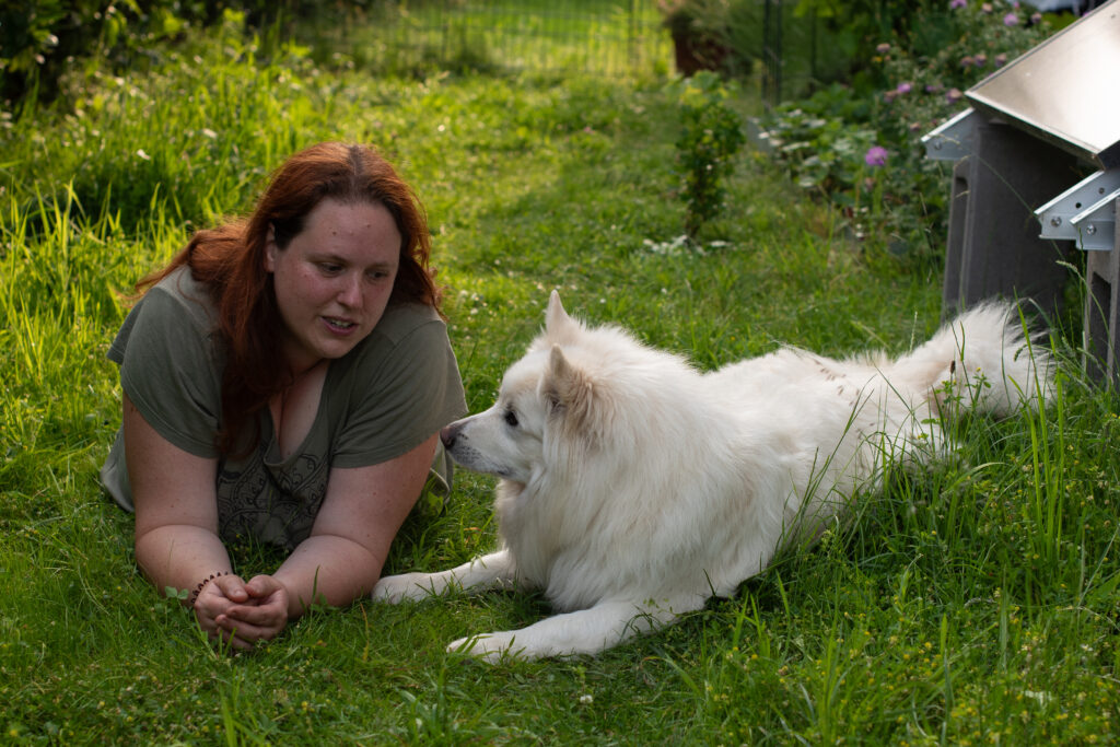 Hund-Mensch-Team Großspitz: Diskussion mit dem Hund