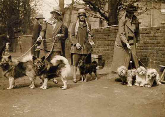 Foto: Links ist Mrs. Digby mit Breda und Saani bei der Holland Park Dog Show 1923