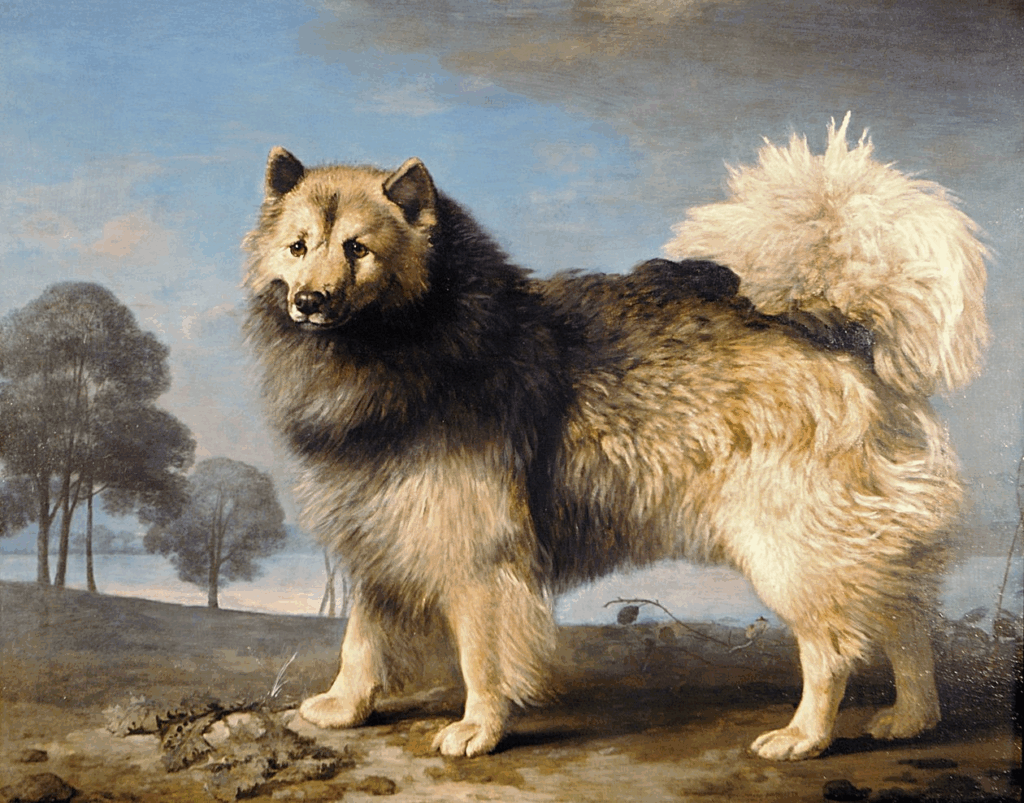 Der Hund "Turk" gezeichnet von George Stubbs 1778