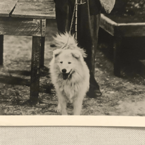 spitzartiger Hund bei Charlie Chaplin