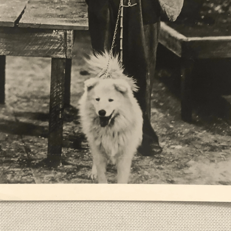 spitzartiger Hund bei Charlie Chaplin