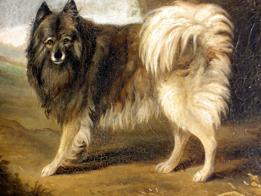 Gemälde Keeshond