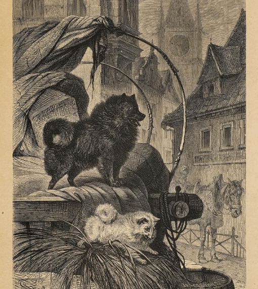 1872: Der Spitz nach Th. Hering (F. Specht)
