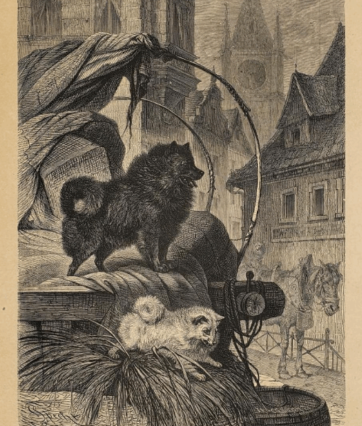 1872: Der Spitz nach Th. Hering (F. Specht)
