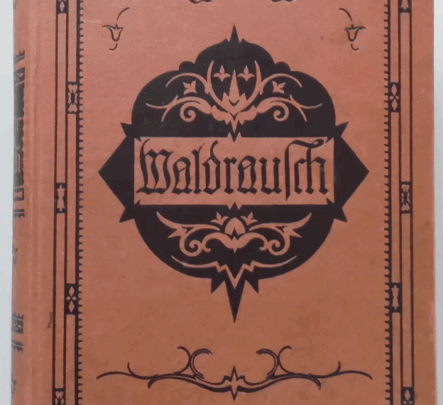 Ganghofers Waldrausch Titel (1920)