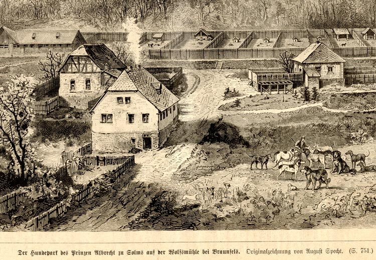 Hundepark des Prinzen Albrecht zu Solms an der Wolfsmühle bei Braunfels (1878)