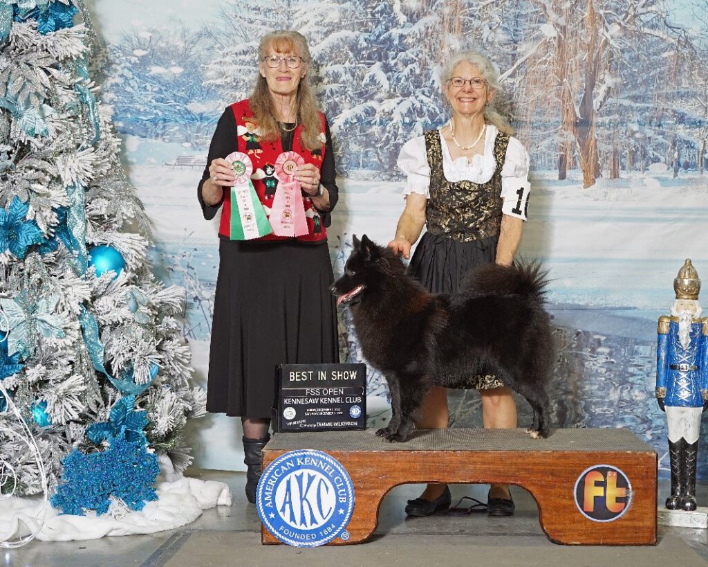 Hey Dude Aesir is Amazing as Best in Show at a Dog Show