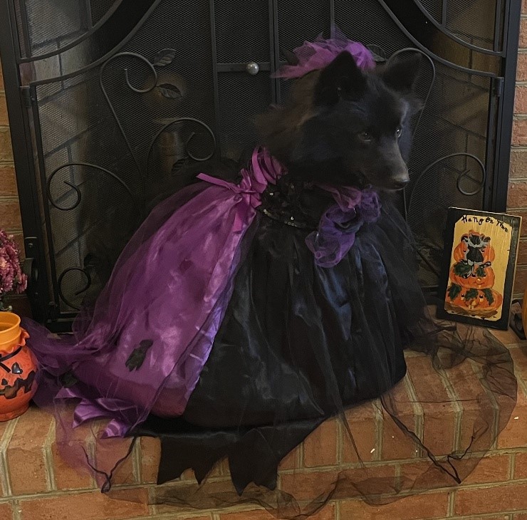 Hey Dude Aesir is Amazing