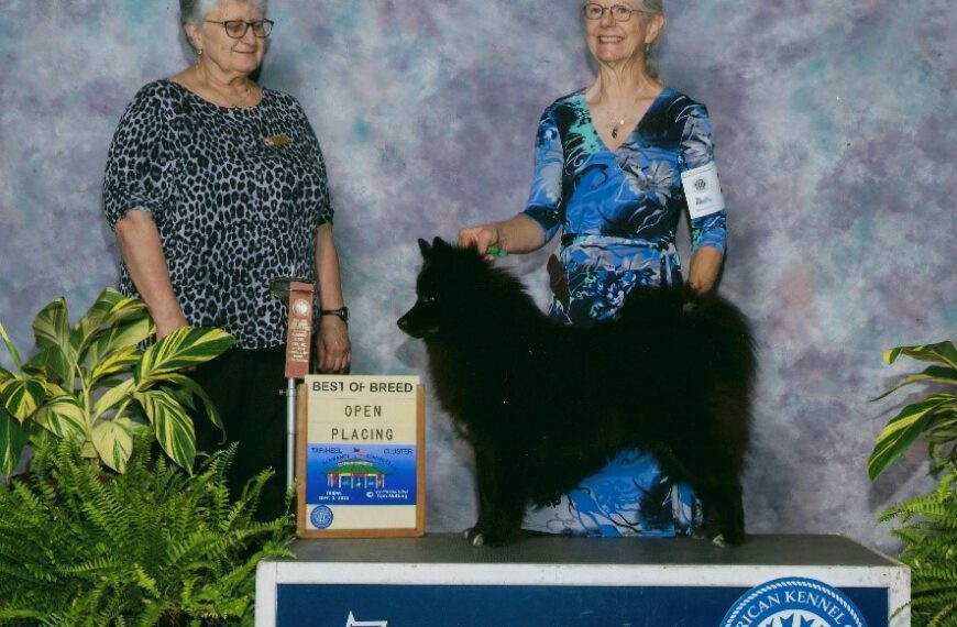 The First Gross Spitz to come to the US