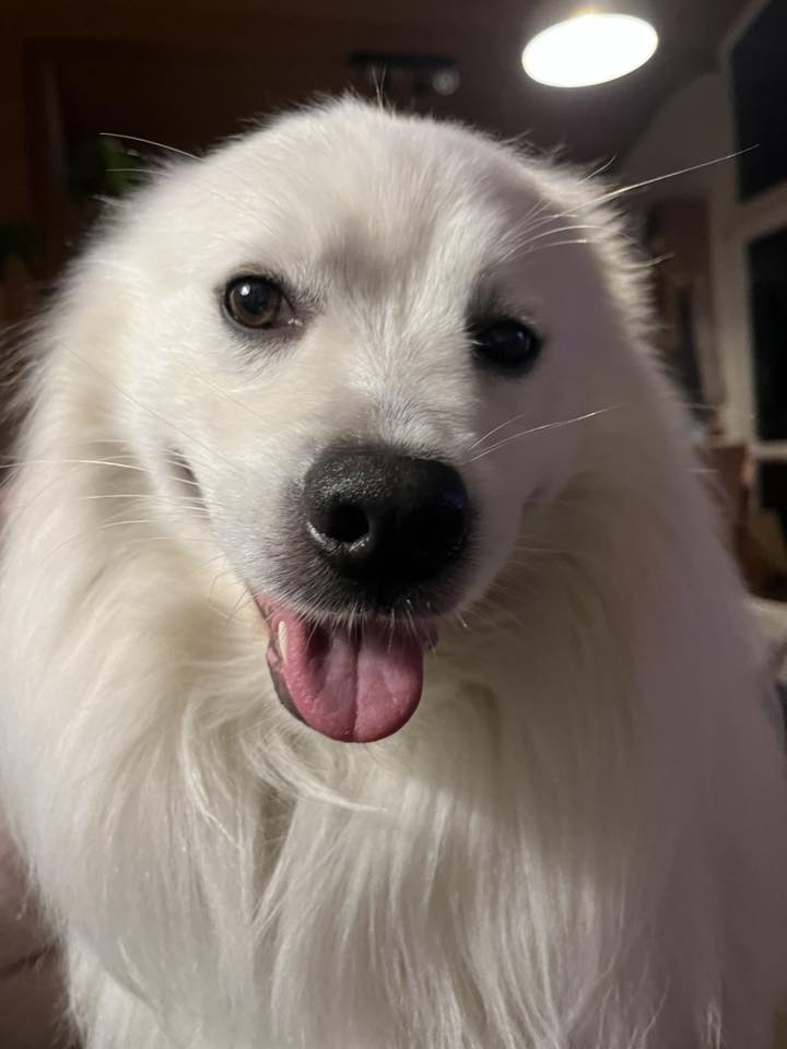 50 Faces of Floof